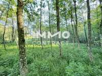 Landwirtschaftsgrund in Ardagger Stift