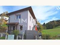 Einfamilienhaus in Steinakirchen am Forst