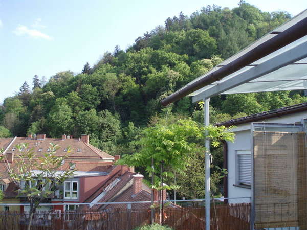Maisonette in 8010 Graz 29