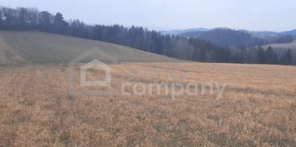 Ackerbau in 2811 Wiesmath 