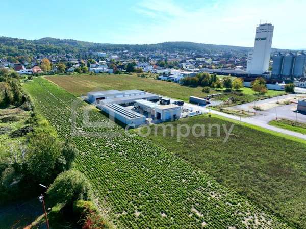 Grundstück in 2452 Mannersdorf am Leithagebirge 1