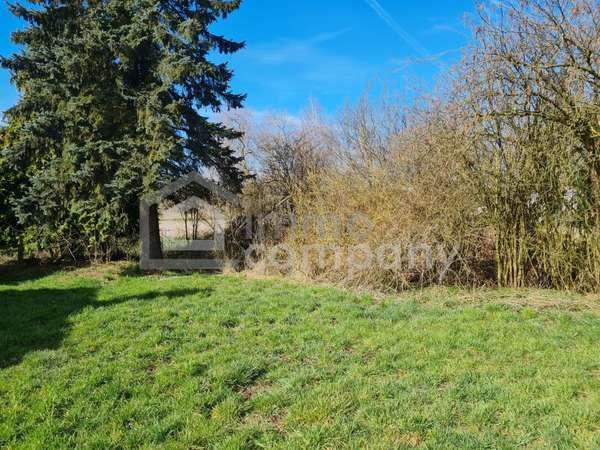 Baugrund in 4623 Gunskirchen - Bild 1 Baugrund in 4623 Gunskirchen 1