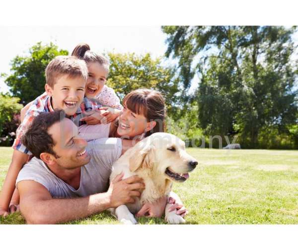 Grundstück in 8072 Dillach 