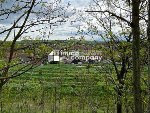Einfamilienhaus in 2276 Reintal 