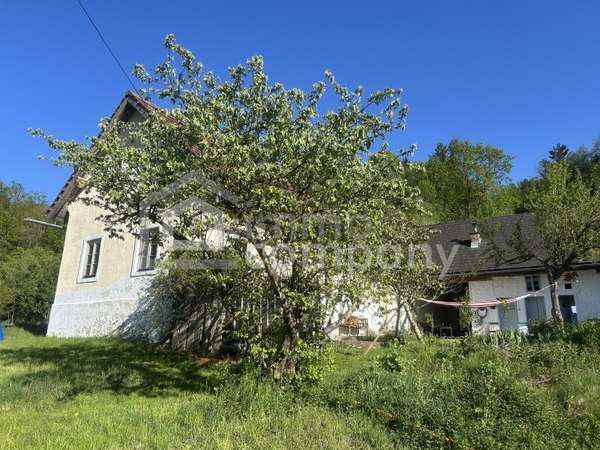 Bauernhaus in 8384 Minihof-Liebau 19