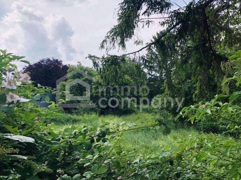 Baugrund Mitterndorf an der Fischa