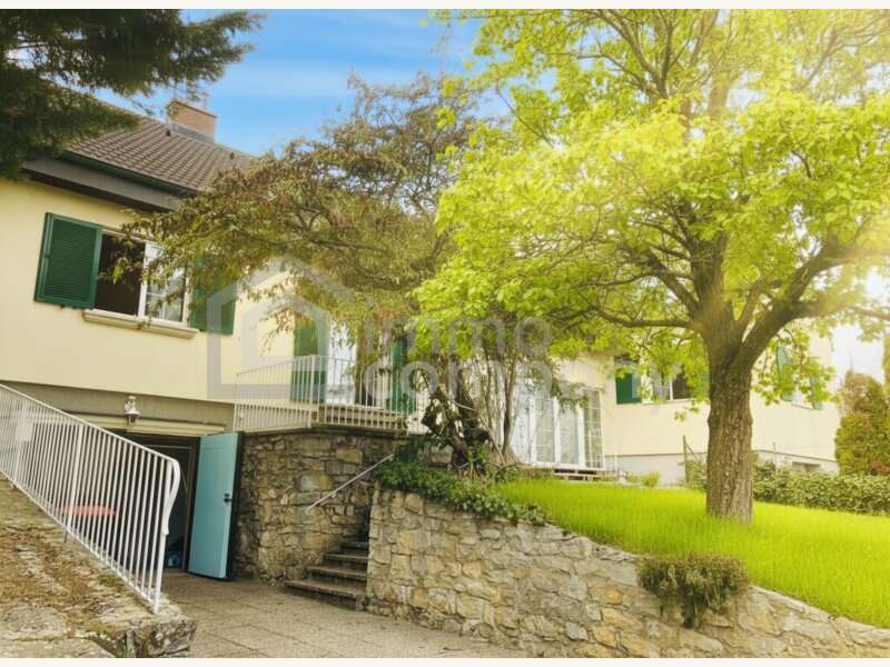 Einfamilienhaus Breitenbrunn am Neusiedler See