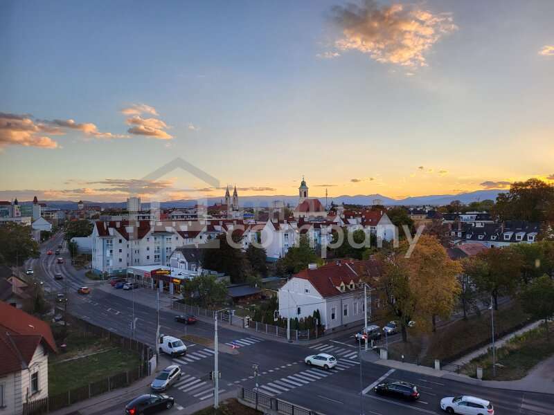 Wohnung Wiener Neustadt