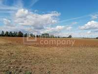 Ackerbau in Parndorf