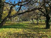 Grundstück Hornstein