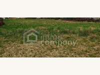 Baugrund in Frauenkirchen