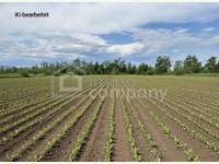 Landwirtschaftsgrund Sollenau