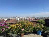 Wohnung Wien