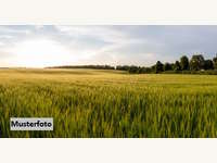 Halle in Dreistetten, Landwirtschaftlich genutztes Grundstü