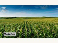 Halle in Muthmannsdorf, angrenzend an Dreistetten