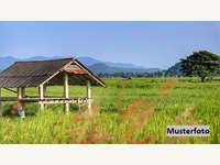 Viehwirtschaft in Neumarkt im Mühlkreis