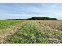 Landwirtschaftsgrund in Zistersdorf