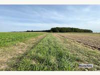Landwirtschaftsgrund in Aschbach-Markt