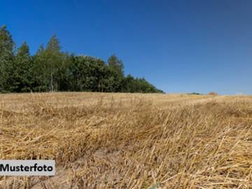 Landwirtschaftsgrund in Illmitz