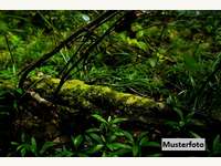 Landwirtschaftsgrund in Zahling