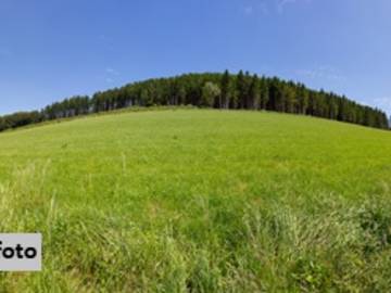 Landwirtschaftsgrund in Pinkafeld