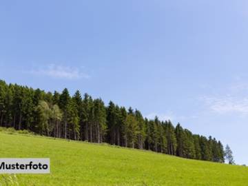 Landwirtschaftsgrund in Bruck an der Mur