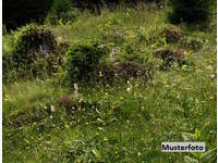 Landwirtschaftsgrund in Thörl