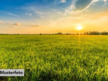 Landwirtschaftsgrund in Auerbach