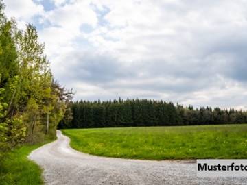 Landwirtschaftsgrund in Pinkafeld