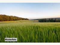 Landwirtschaftsgrund in Mauer bei Amstetten