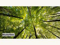 Landwirtschaftsgrund in Lavamünd