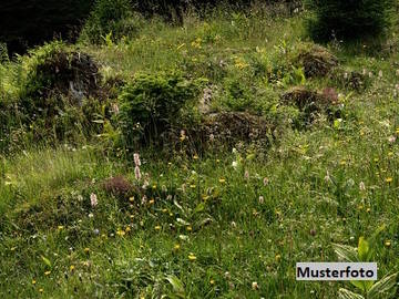 Landwirtschaftsgrund in Hirschegg-Pack