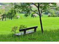 Landwirtschaftsgrund in Leutasch