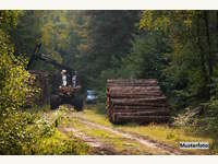 Landwirtschaftsgrund in Alpbach
