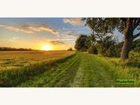 Landwirtschaftsgrund in St.Gerogen am Walde