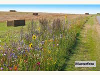 Landwirtschaftsgrund in Kirchberg in Tirol