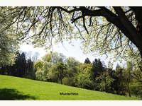 Landwirtschaftsgrund in St.Gerogen am Walde