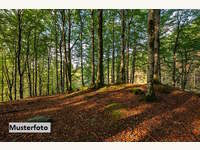 Landwirtschaftsgrund in Kirchberg in Tirol