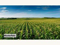 Landwirtschaftsgrund in Kirchberg in Tirol