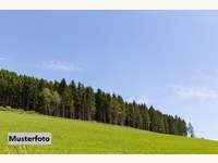 Landwirtschaftsgrund in Sebersdorf