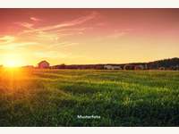 Landwirtschaftsgrund in Loipersdorf