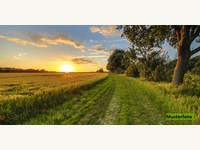 Landwirtschaftsgrund in Inzing