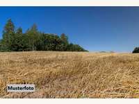 Landwirtschaftsgrund in Illmitz