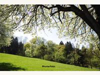 Landwirtschaftsgrund in Obernalb