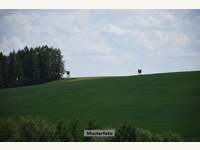 Landwirtschaftsgrund in Obernalb