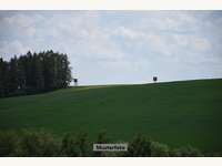 Landwirtschaftsgrund in Obernalb