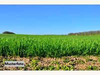 Landwirtschaftsgrund in Zistersdorf