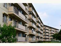 Wohnung in Wiener Neustadt