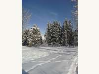 Reiterhof in Zell am See