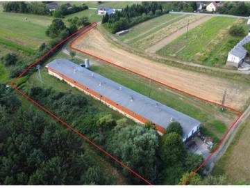 Halle von Immobilien Südburgenland